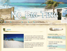 Tablet Screenshot of nobigtingcayman.com